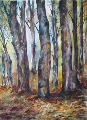 Por el Bosque