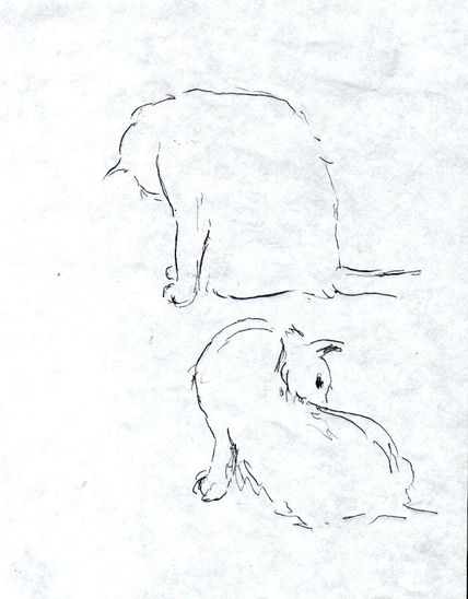 Gatos