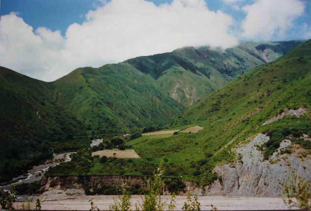 CULTIVOS EN LA QUEBRADA Naturaleza Color (Química)