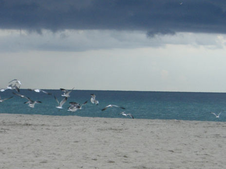Tranquila y Libre