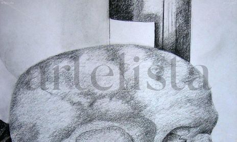 Dibujos En Carboncillo