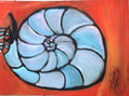 caracol