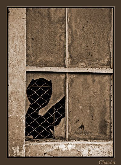 Alguien en la ventana...? Conceptual/Abstract Black and White (Digital)