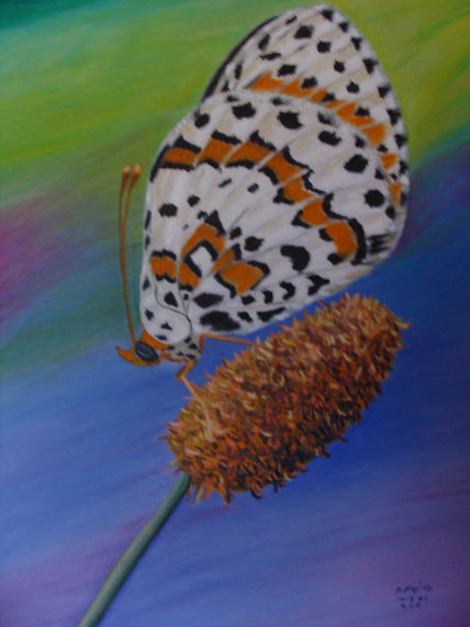 La mariposa