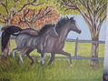 CABALLOS