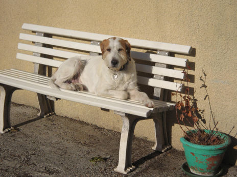 Monsieur coutchy