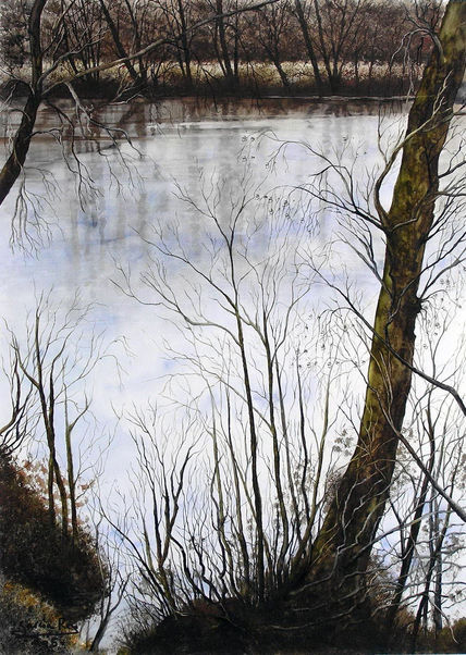Reflejos