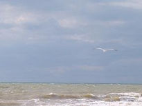 Playa de Huelva