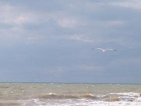 Playa de Huelva
