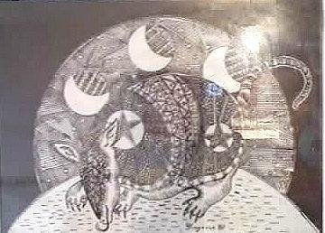 ARMADILLO Y LUNAS