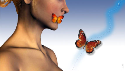 Butterfly love