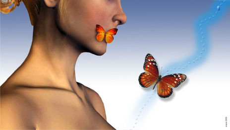 Butterfly love