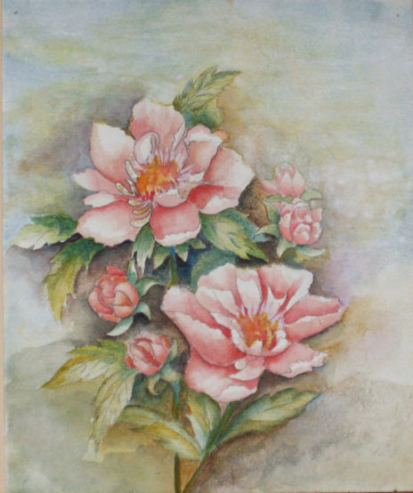 Flores de mi jardín 1