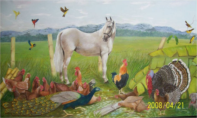 MI VALLE DEL CAUCA