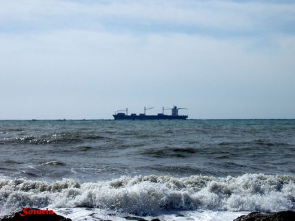 Málaga El Palo playa