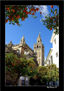 La Giralda y los Naranjos