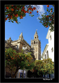 La Giralda y los...