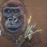 PAISAJES Y ANIMALES thumbnail 2