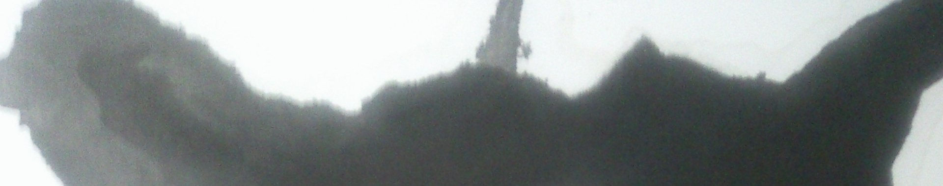 Imagen de portada