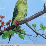 pajaros thumbnail 2