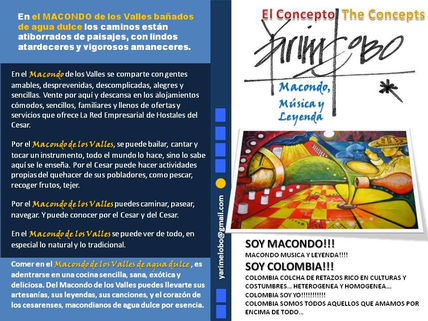 Conceptualización...