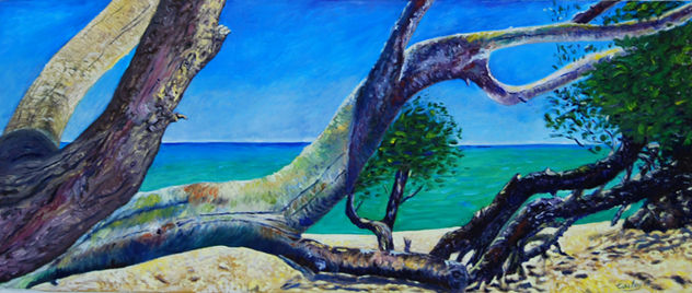 côte d'azur