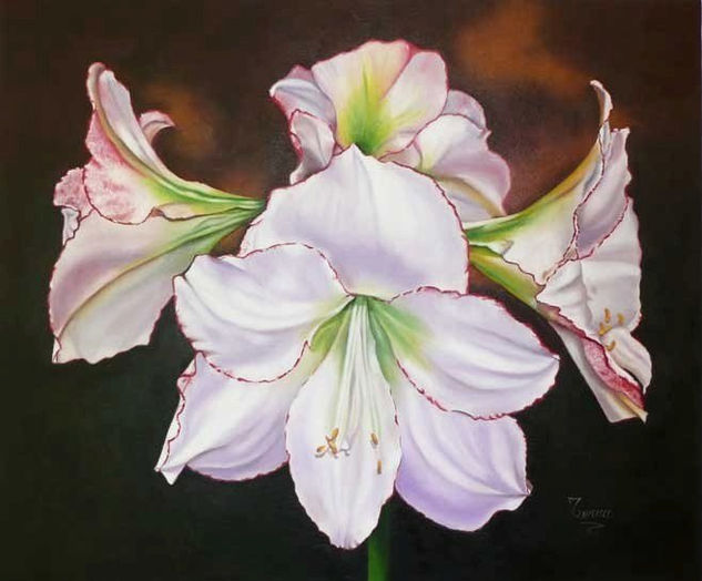 Lirios  Radiantes  Radiant Amarylis Oil Canvas Floral Painting