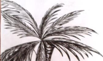 dibujos