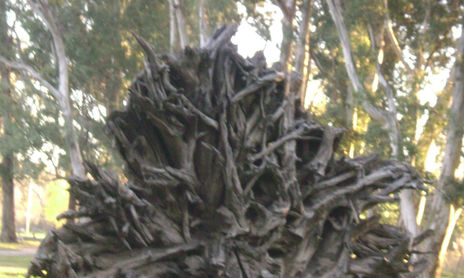 NATURALEZA