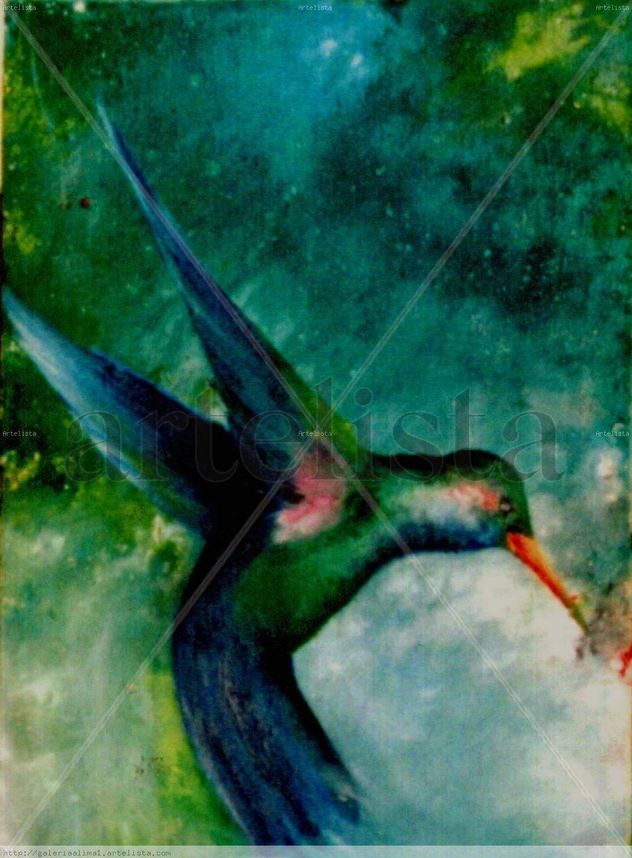 Mi amigo Colibrí