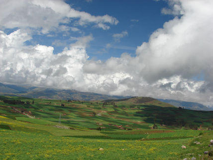 Rural