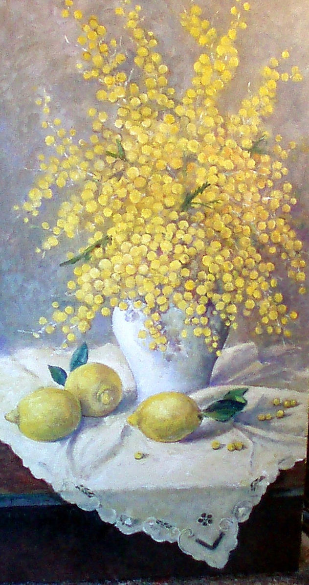 mimosa exp