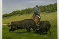 SEPARANDO LOS TOROS