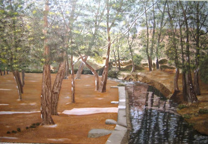 Paseo po El Bosque