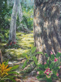 Bosque de Bromelia 1