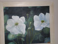 anemonas japonicas