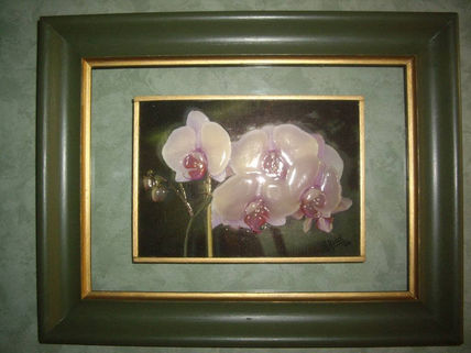Orquideas
