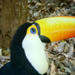 Fotografias thumbnail 1