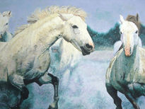 Caballos Salvajes