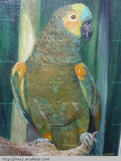 LORO VERDE Oil Canvas Animals