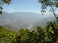 Chicamocha