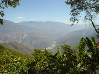 Chicamocha