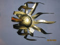 Sol al viento