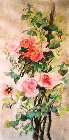 Rosal trepador Watercolour Paper Floral Painting