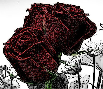 Rosas a la tinta