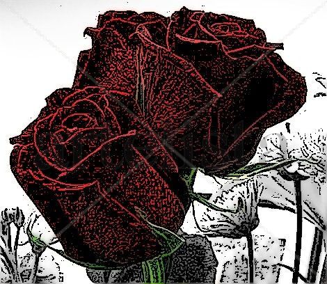 Rosas a la tinta