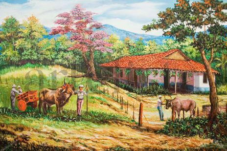 Pradera