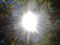 SOL