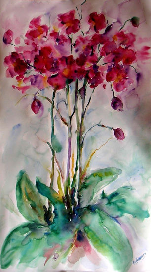 Orquideas Watercolour Paper Landscaping