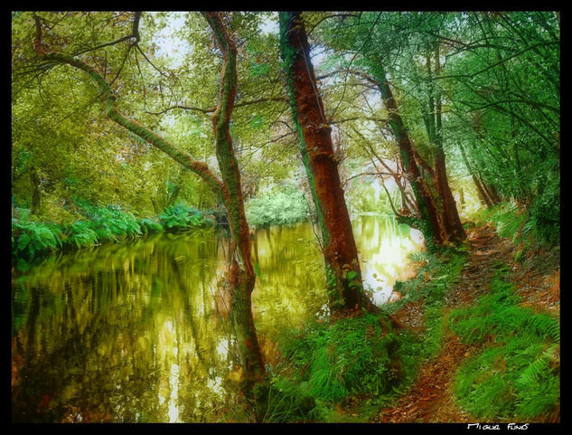 Parque Natural de Chelo 2 - A Coruña Travel Color (Digital)